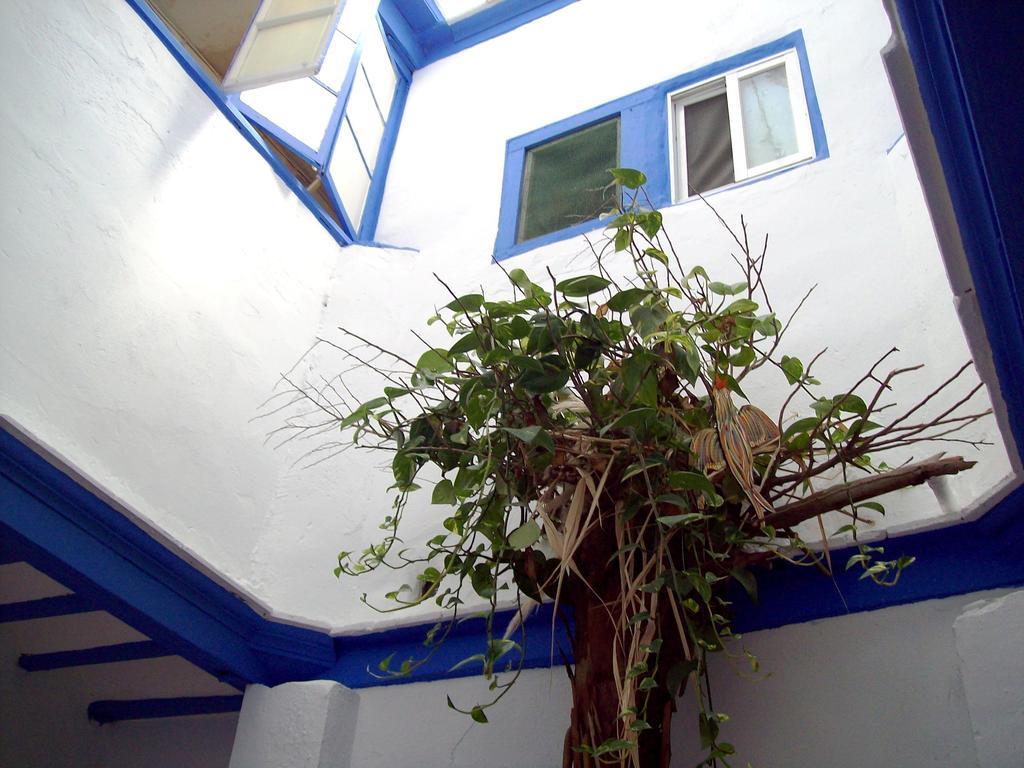De Cadiz Cadi Hostel Екстериор снимка